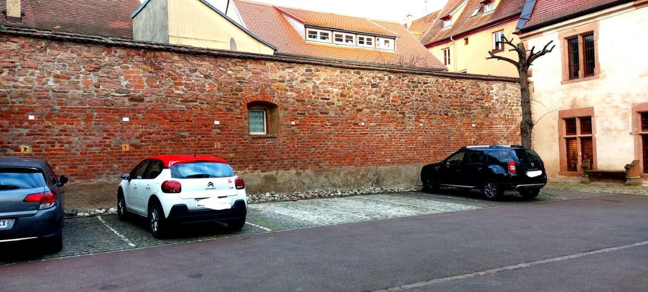Le Rhenanus Jacques Taurellus - Appartement Duplex Au Calme - Centre Ville - Parking Gratuit Sélestat Zewnętrze zdjęcie